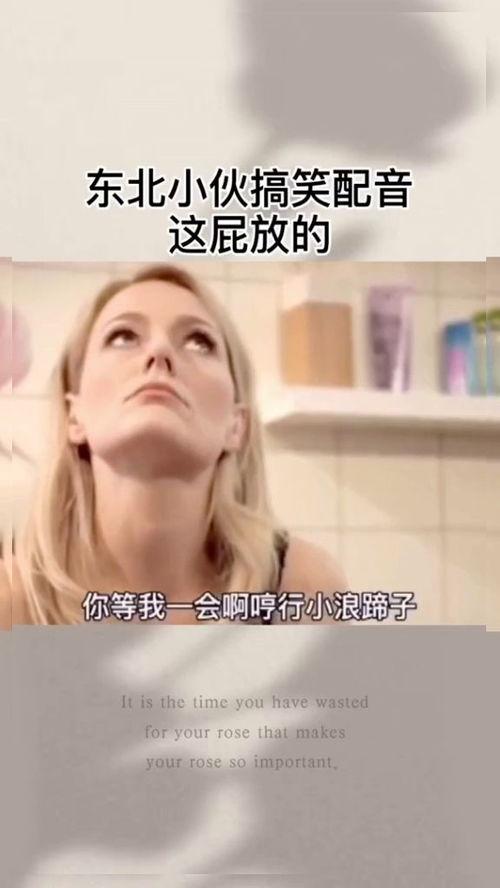 日屁动态视频,捕捉瞬间魅力,展现动感风采